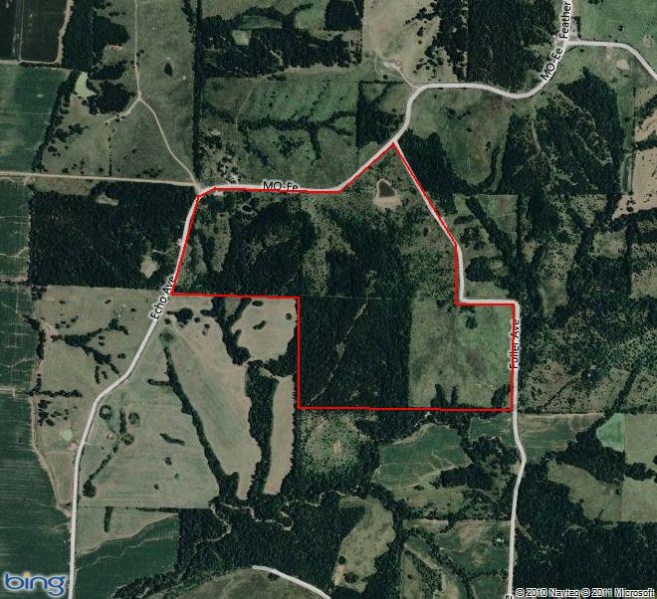 174 Acres Hunting Land For Sale In Macon County, Missouri