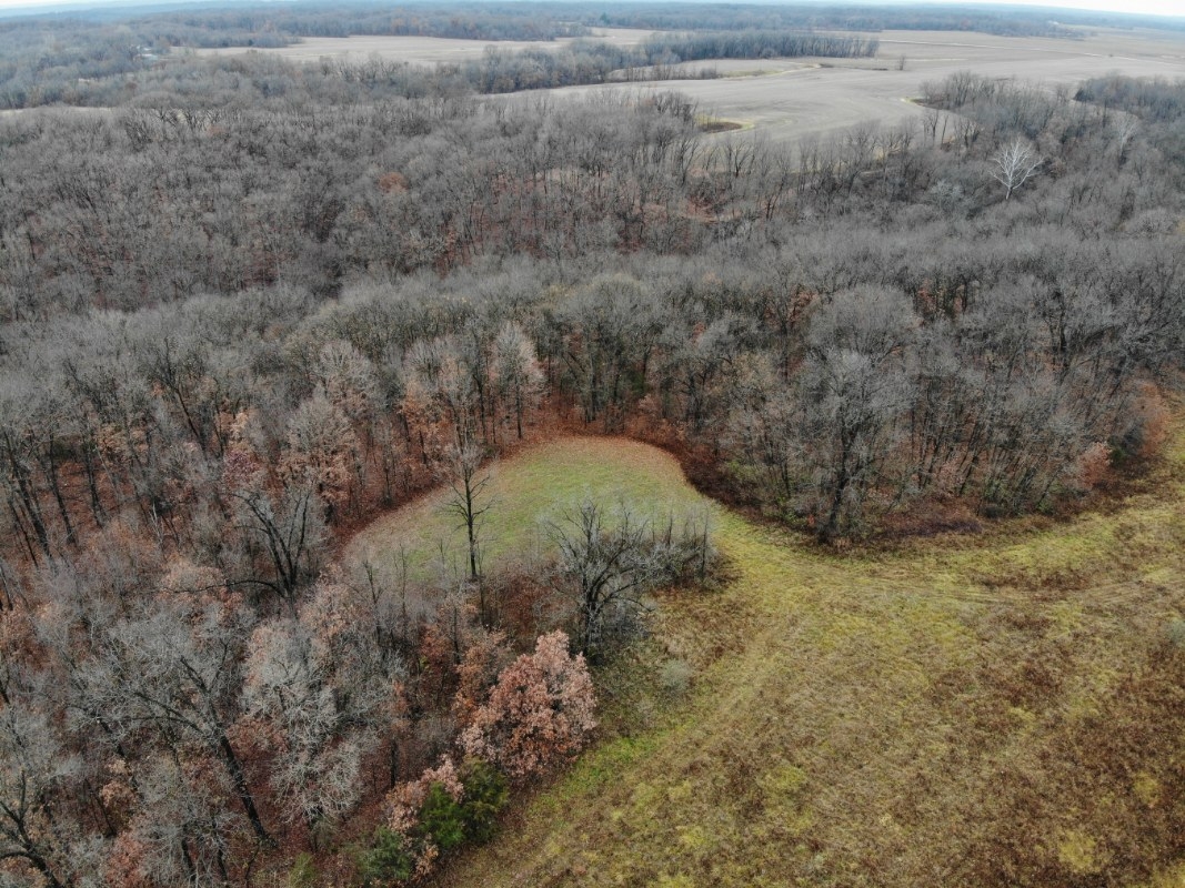 61 Acres For Sale Brown County, Illinois