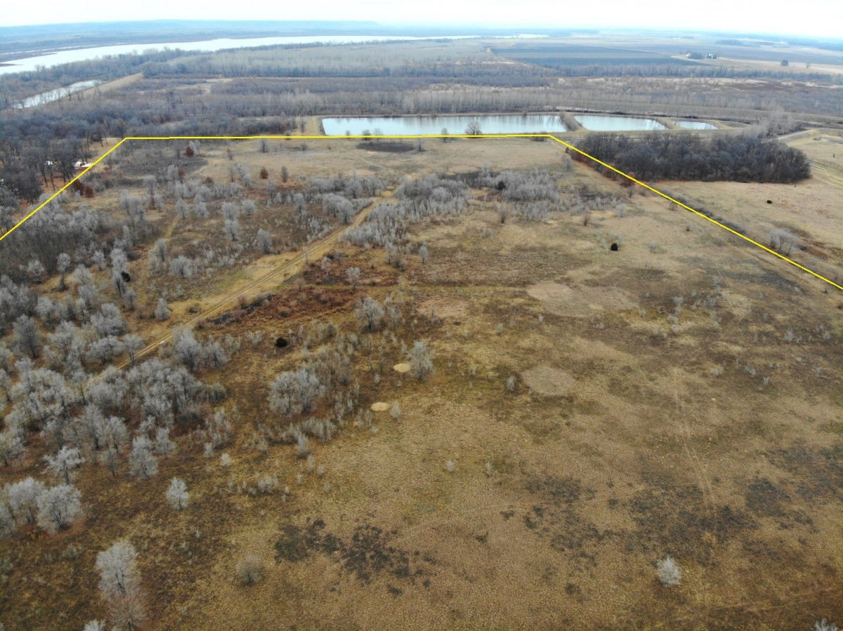 80 Acres For Sale In Morgan County, Illinois