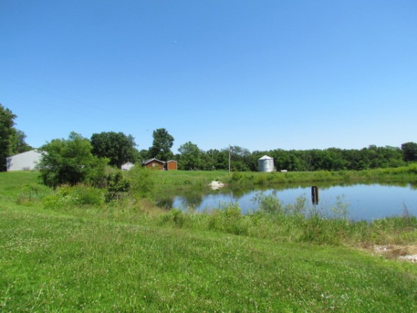 Harrison Branch Farm