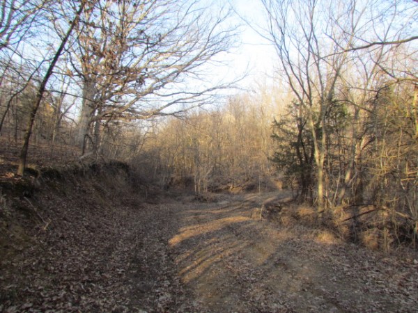 Perfectly Laid Out Farm In Southern Fulton County