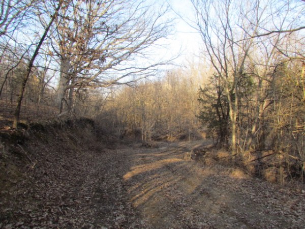 Perfectly Laid Out Farm In Southern Fulton County