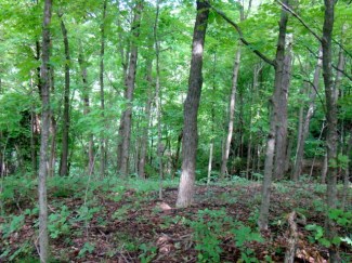 Kinderhook Bluff Farm