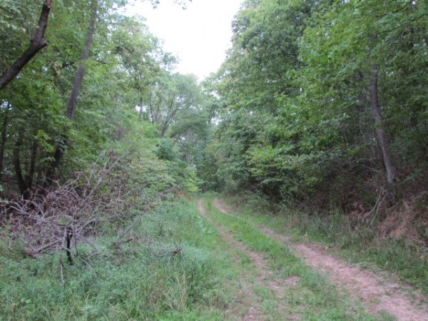 Beebe Creek Farm