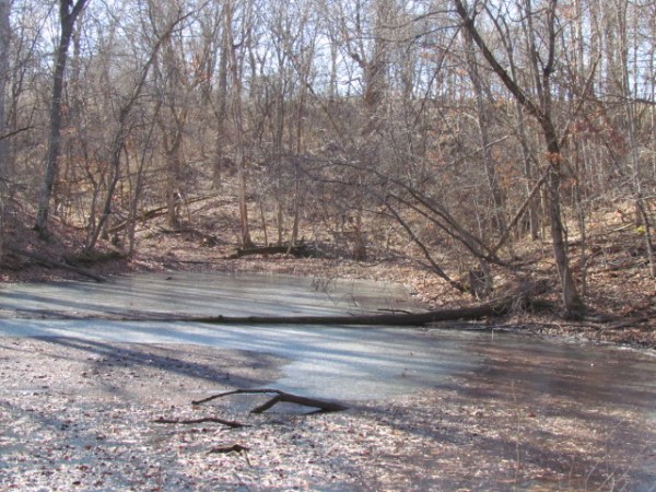 Bluff Springs Farm