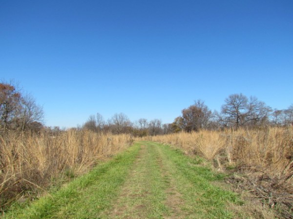 Summit Ridge Farm