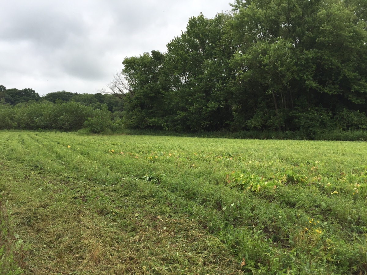 Otter Lake Farm 83 Acres