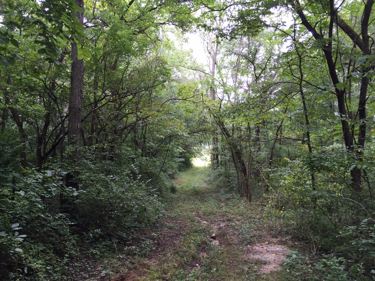 Otter Lake Farm 110 Acres