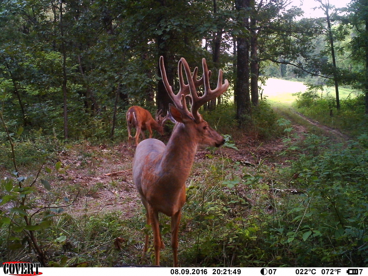 Bay Creek Sanctuary