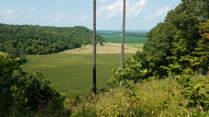 Bee Creek Bluff Farm