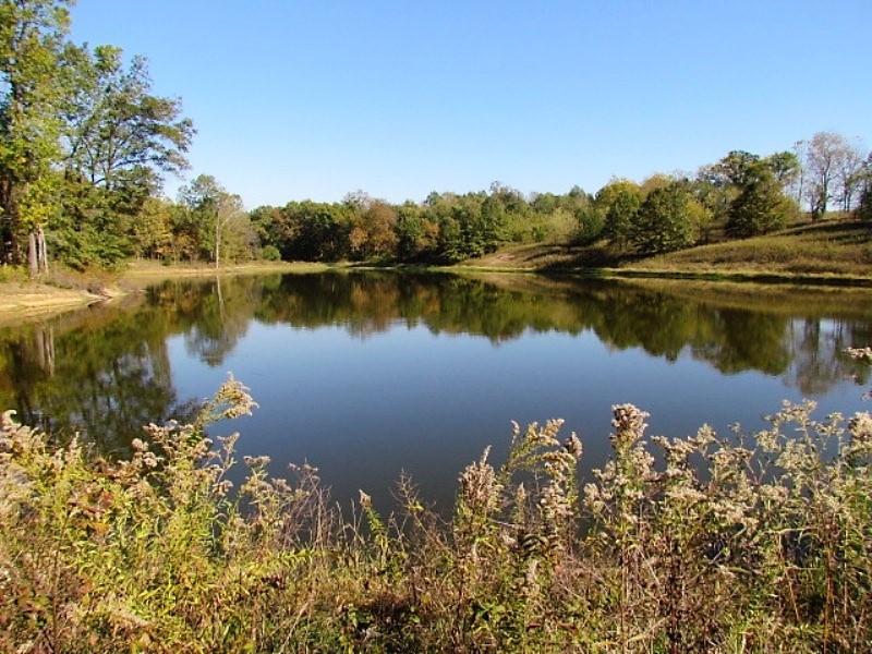 Fall Lake Farm