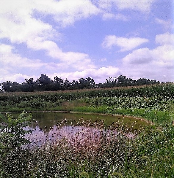 Twin Culverts Farm