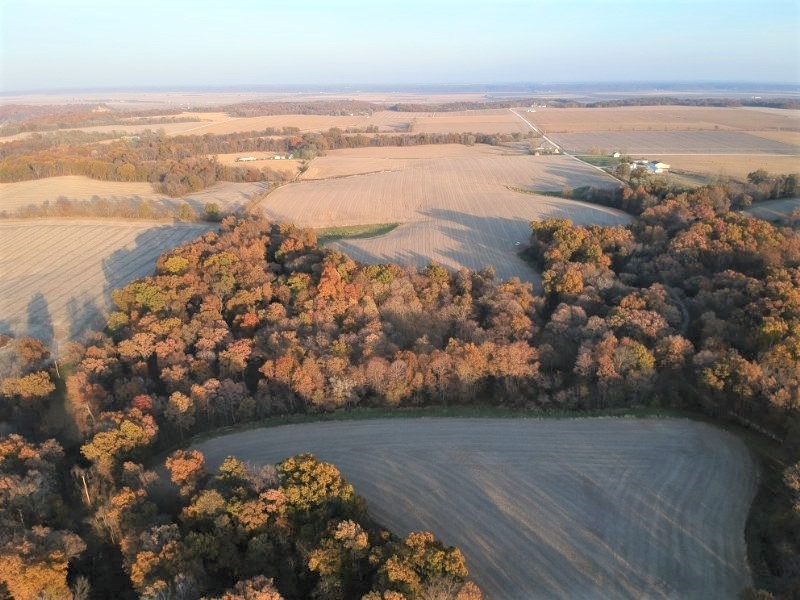 Pearl Prairie Farm