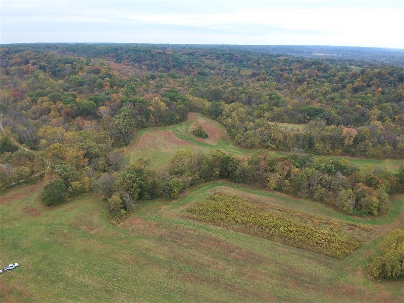 140 Acres Calhoun County, Illinois