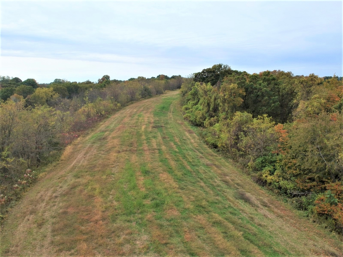 Belleview Hollow Farm