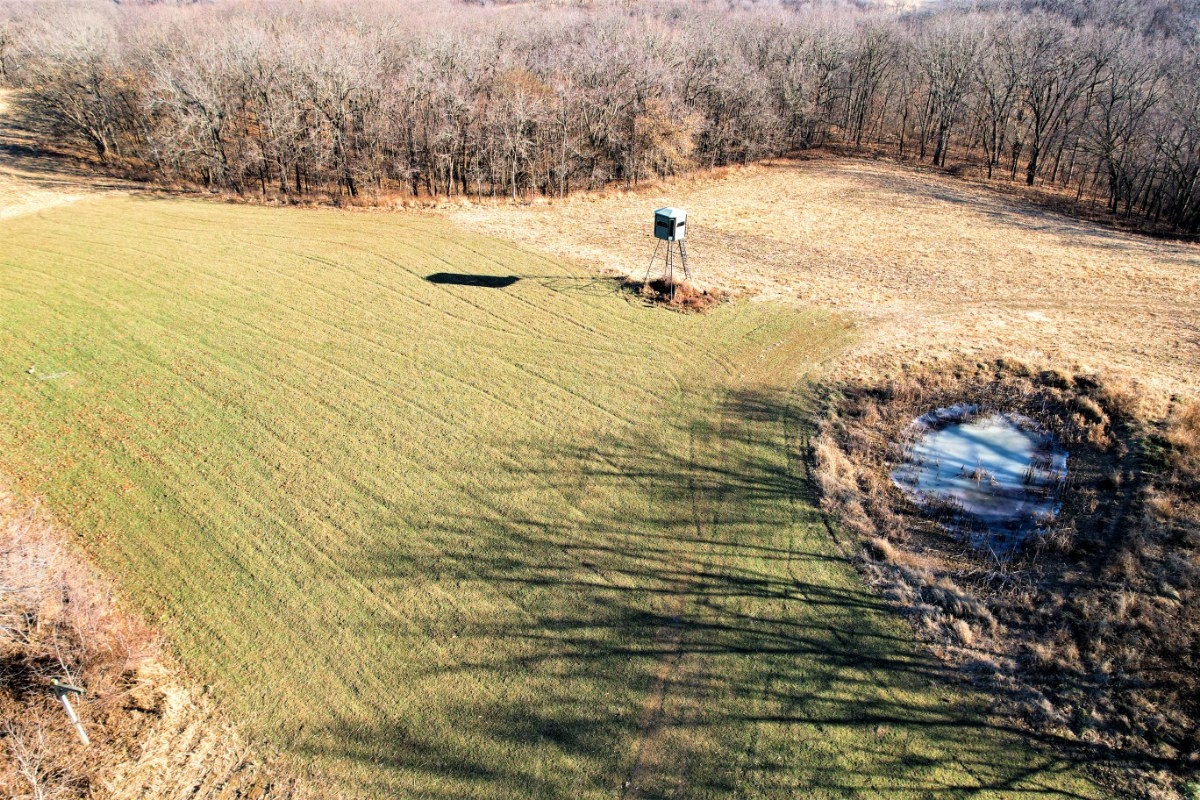 165 Acres With Cabin Pike County, Illinois