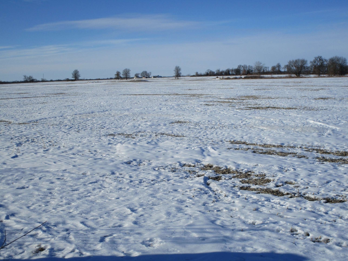 77 Acres Scotland County, Missouri