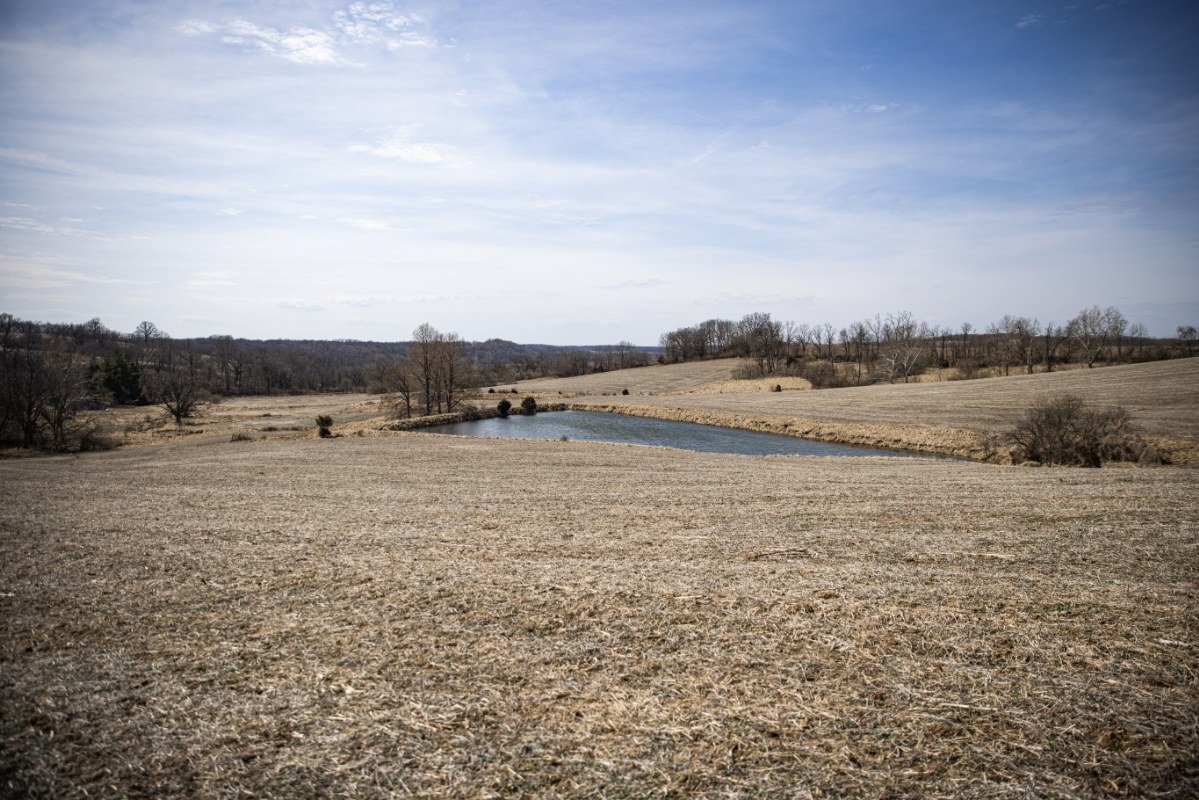 85 Acres Pike County, Illinois