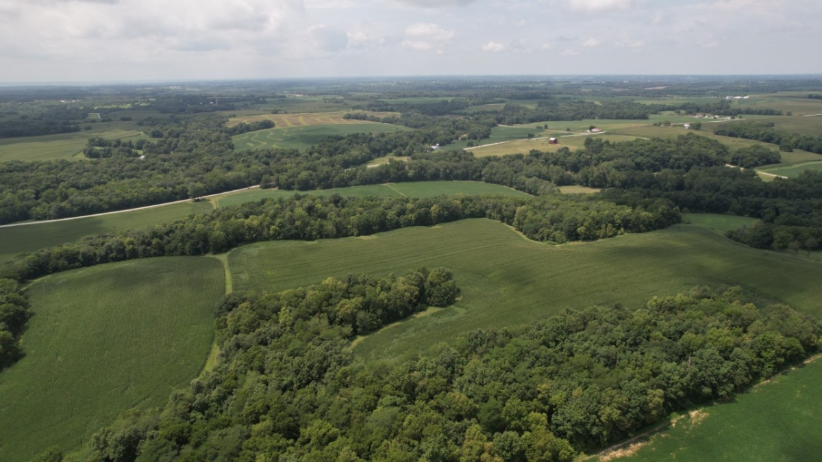 AUCTION:   74 Acres Pike County, Illinois