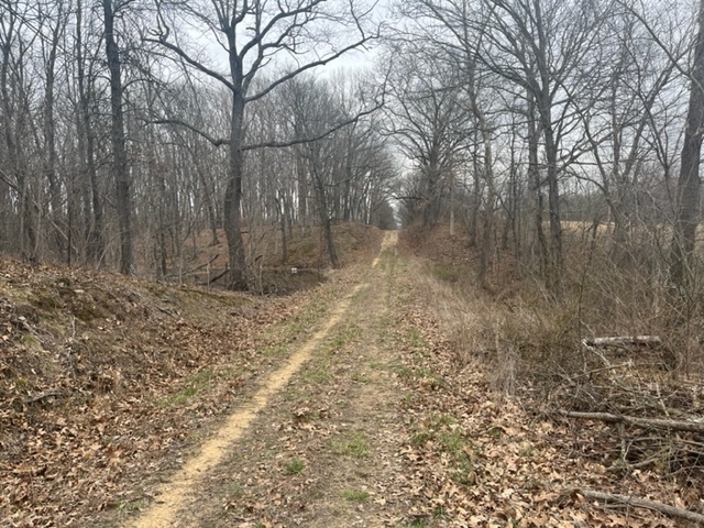 29 Acres For Sale In Fayette County, Illinois