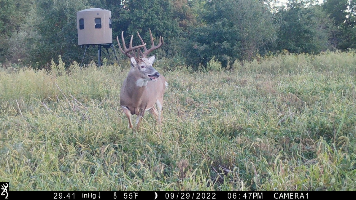 70 Acres For Sale Pike County, Illinois