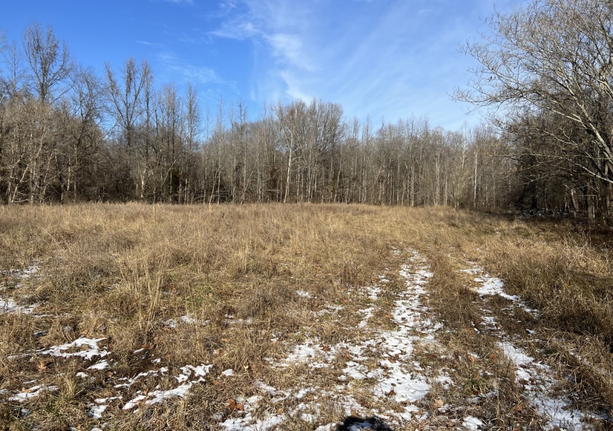 44 Acres For Sale In Union County, Illinois