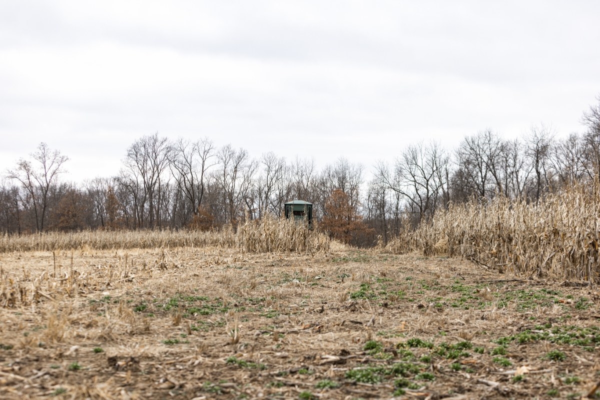108 Acres For Sale In Adams County, Illinois