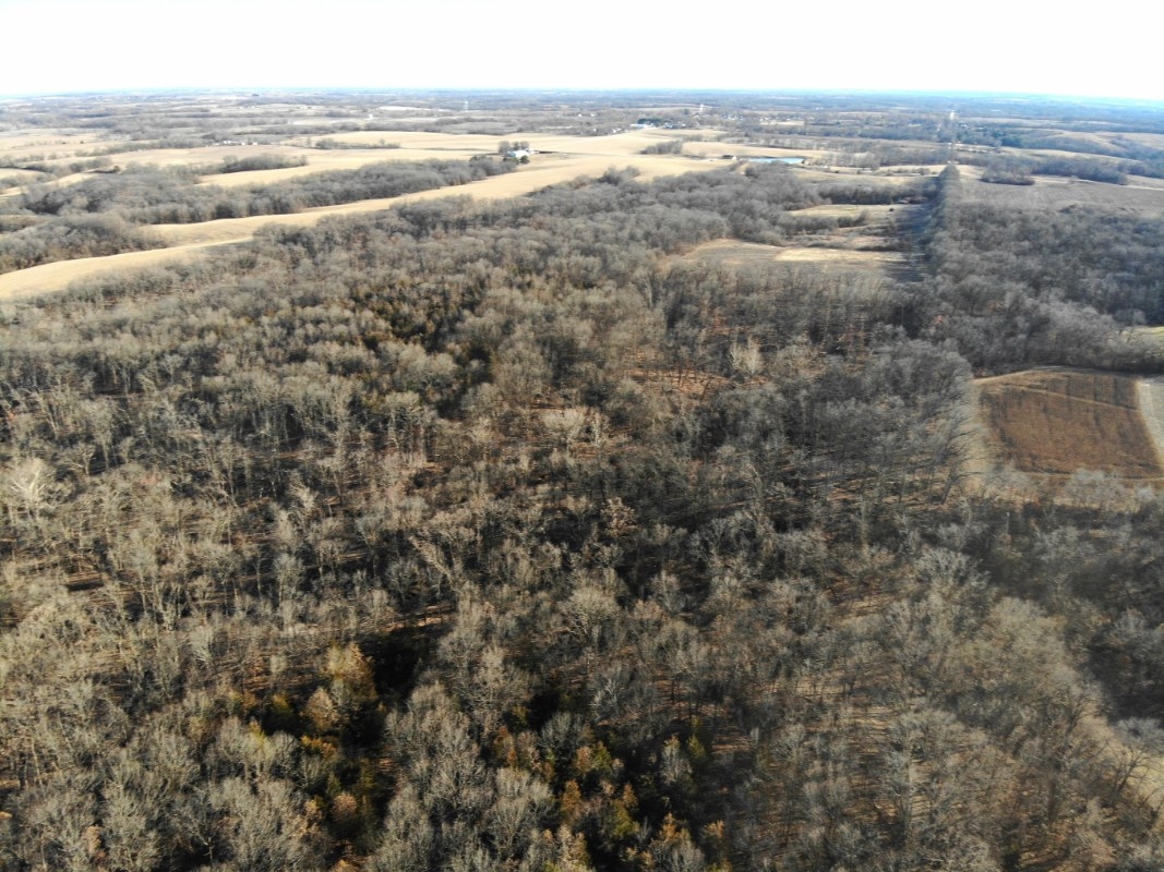 56.67 Acres For Sale In Pike County, Illinois