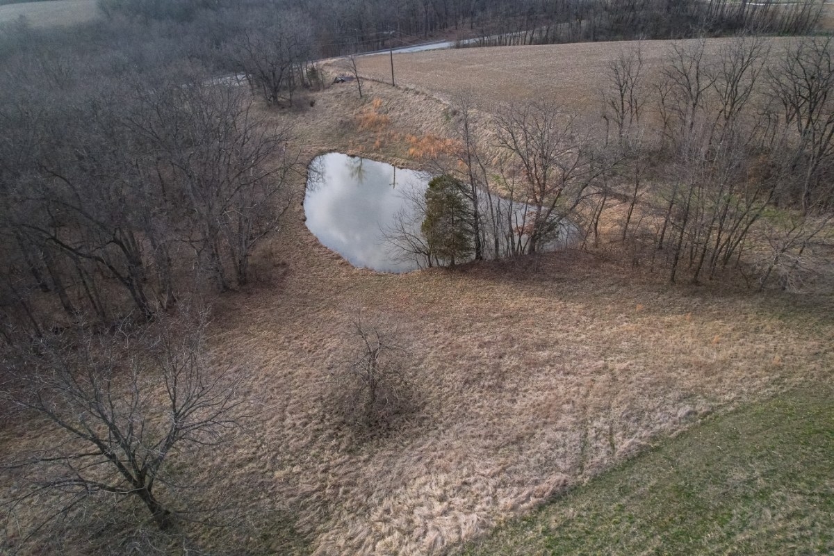 80 Acres For Sale In Pike County, Illinois