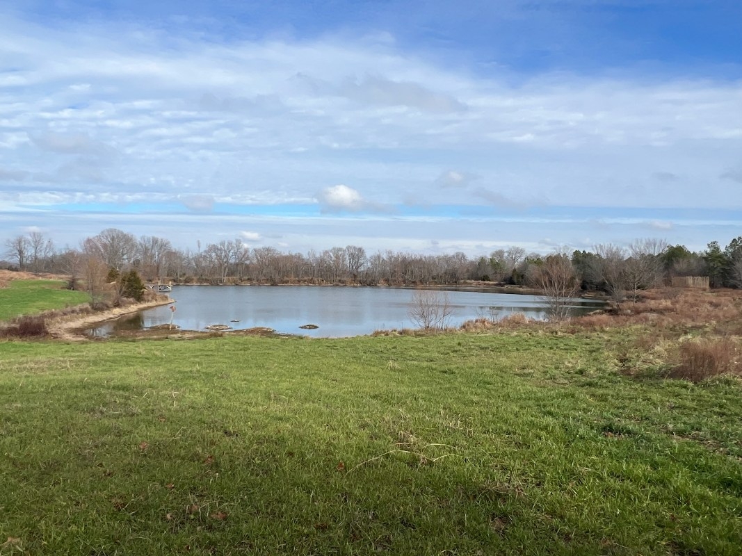 129.22 Acres For Sale In Union County, Illinois
