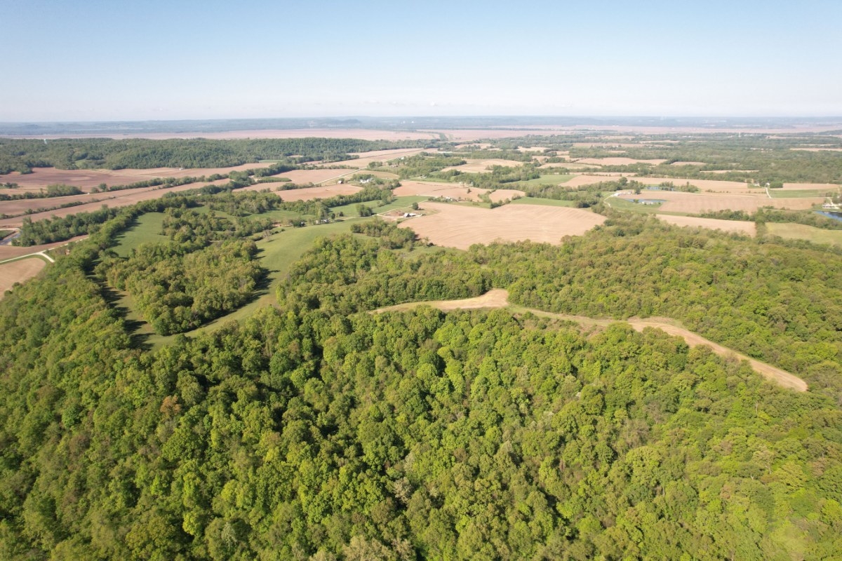 42 Acres For Sale In Pike County, Illinois