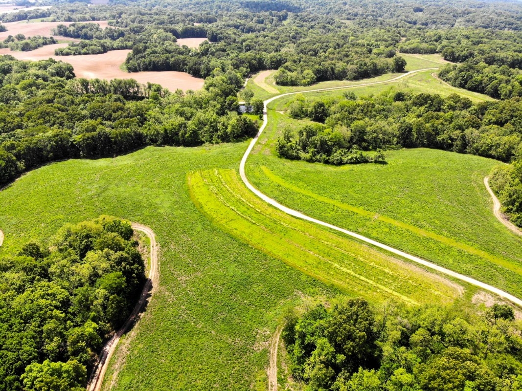 400 Acres For Sale In Pike County, Illinois