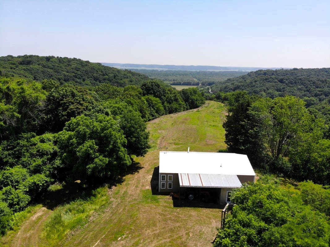 70 Acres With Cabin For Sale In Calhoun County, Illinois