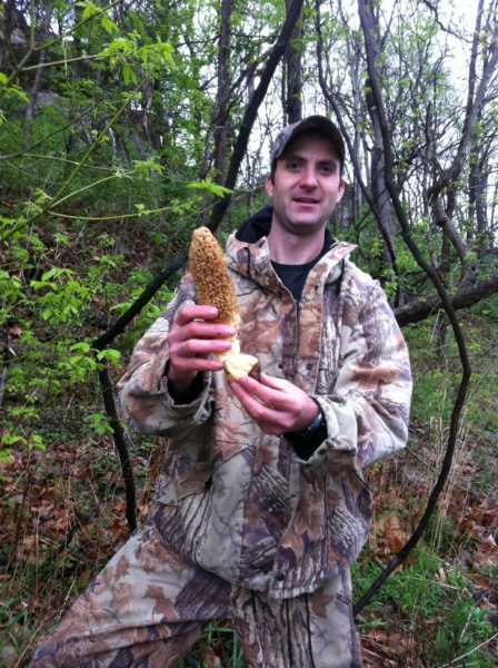 Morel Mushrooms Are Popping!
